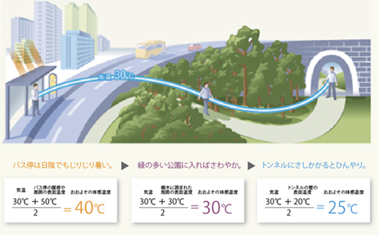 体感温度を計算してみると、日常感じる「体感」の原因がわかる！