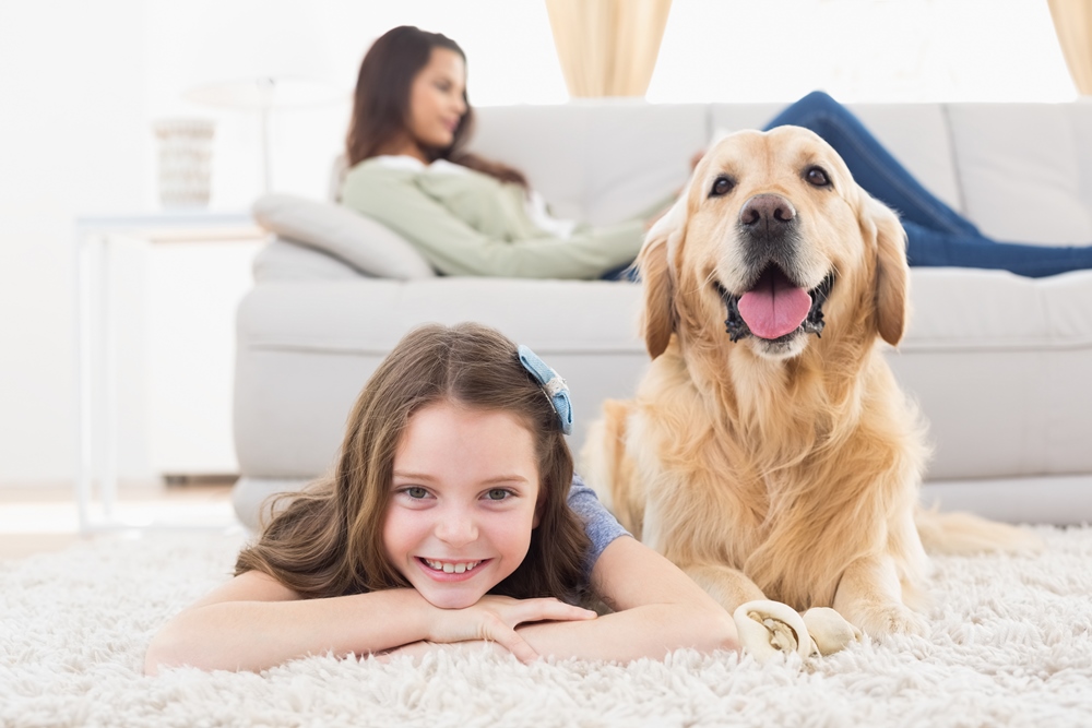 pets-06.jpg