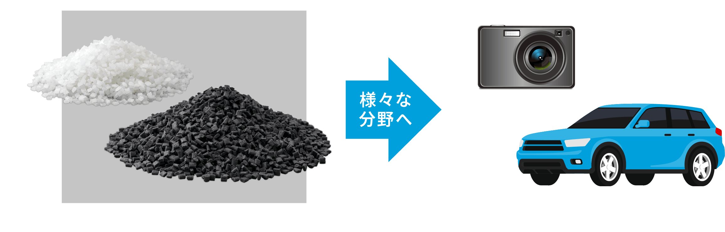 さまざまな分野へ